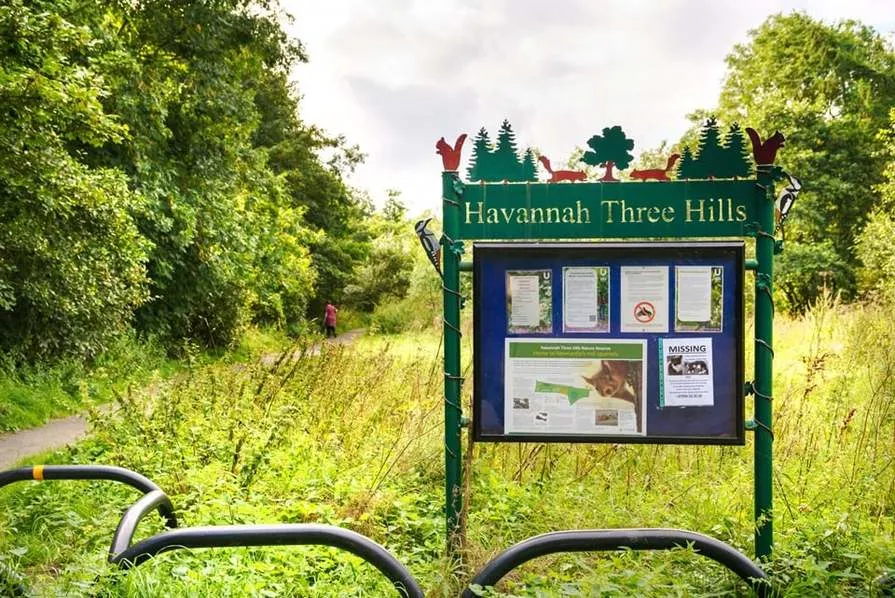 Heathwood at Brunton Rise, photo 10