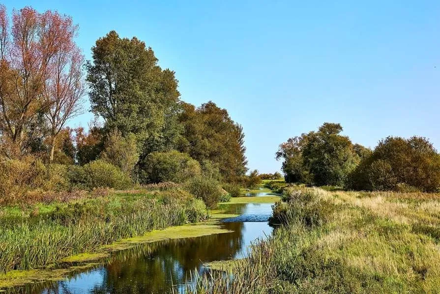 Whittlesey Fields, photo 10
