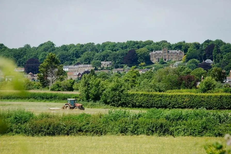 Wool Gardens, photo 7