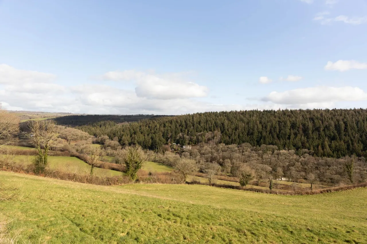 Latchley, Gunnislake, PL18, photo 39