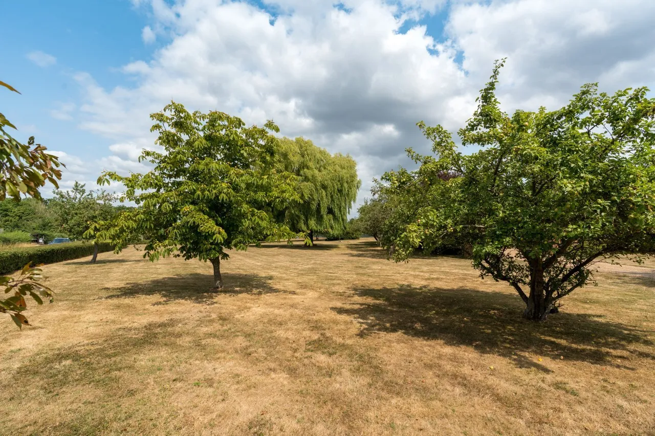 Layer Rd, Abberton, CO5, photo 45