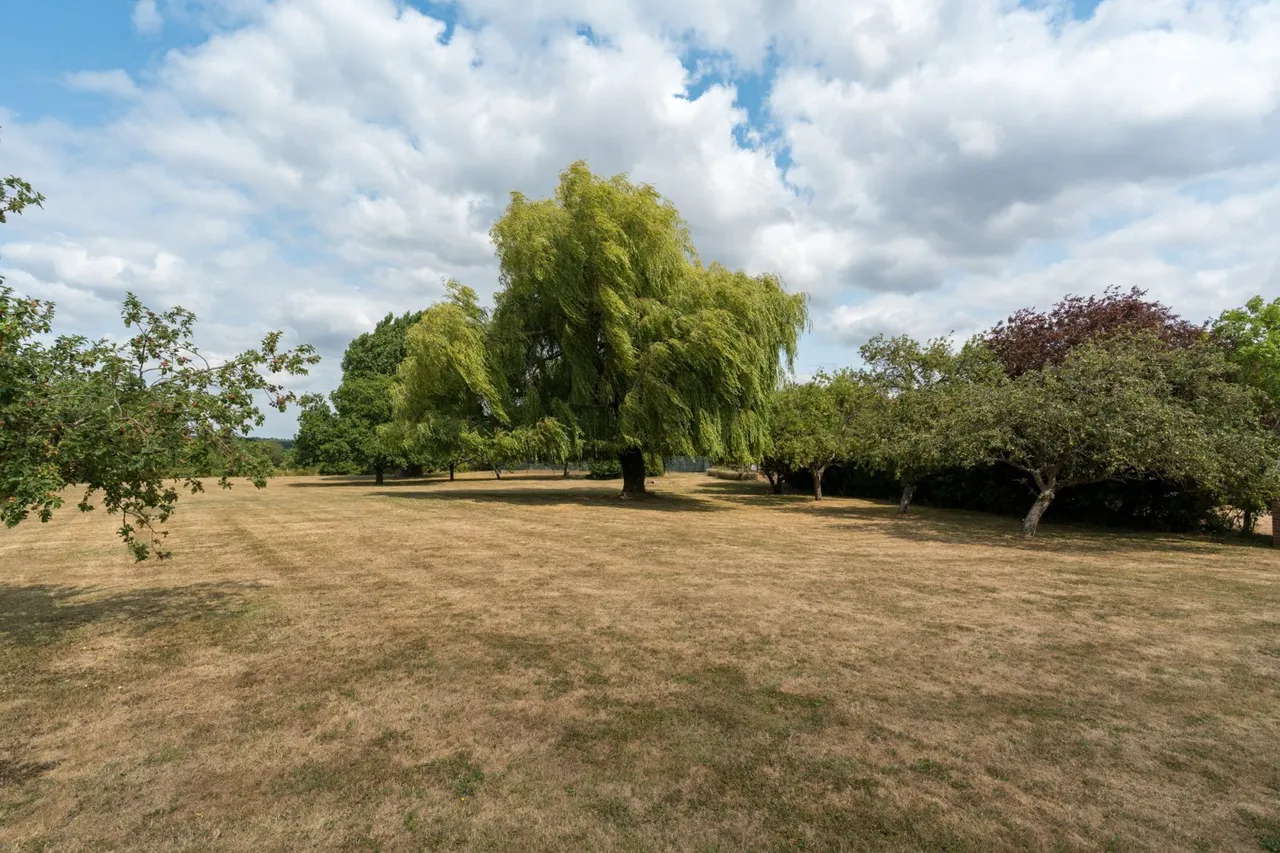 Layer Rd, Abberton, CO5, photo 44