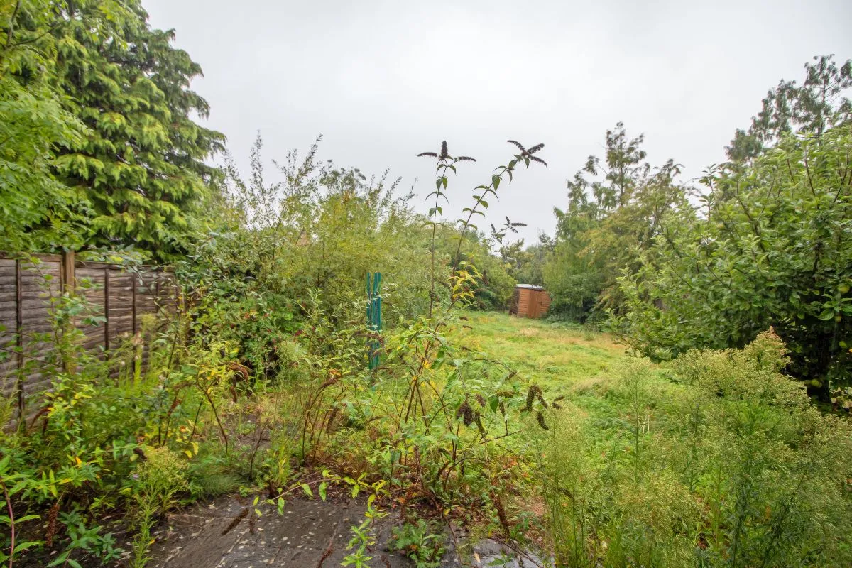 Hart Plain Avenue, Waterlooville, PO8 8RP, photo 9