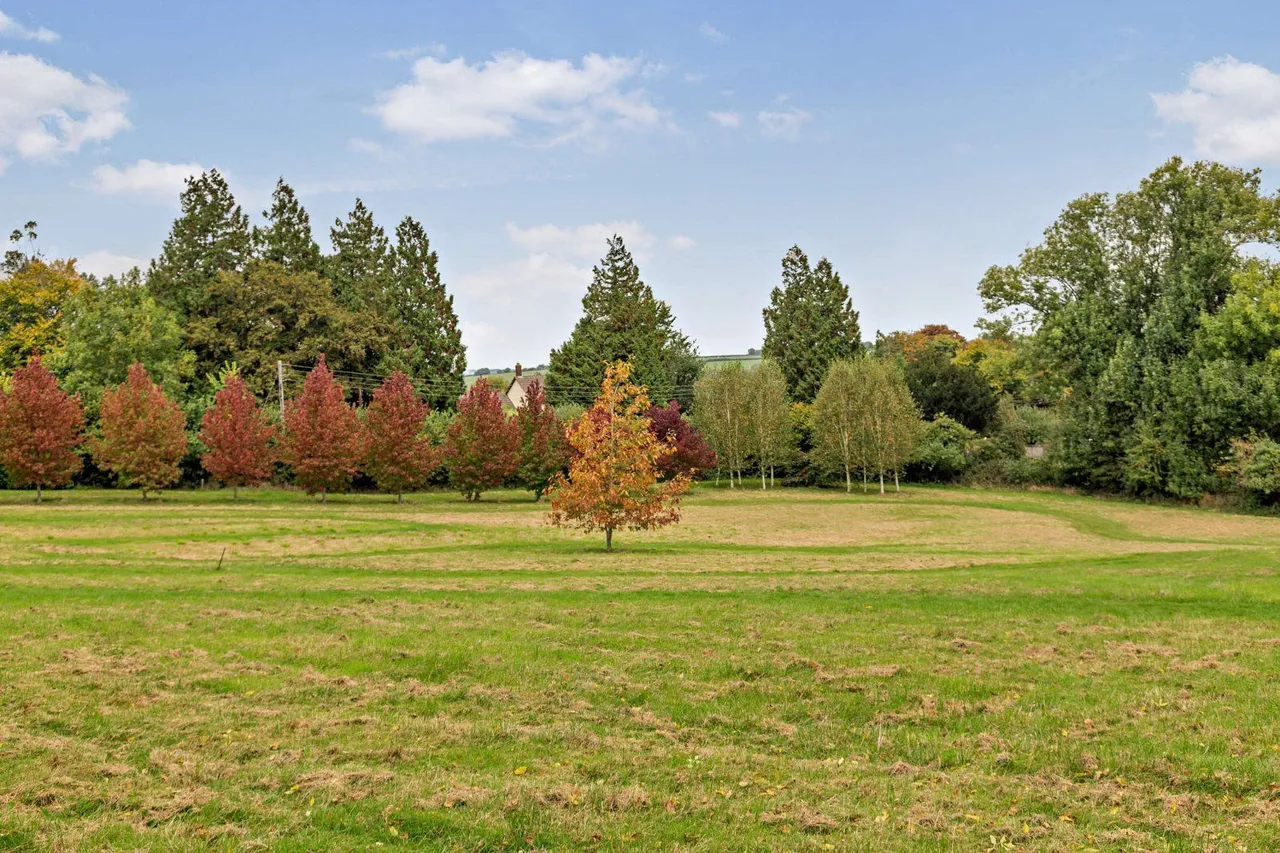 Exbourne, Okehampton, EX20, photo 19