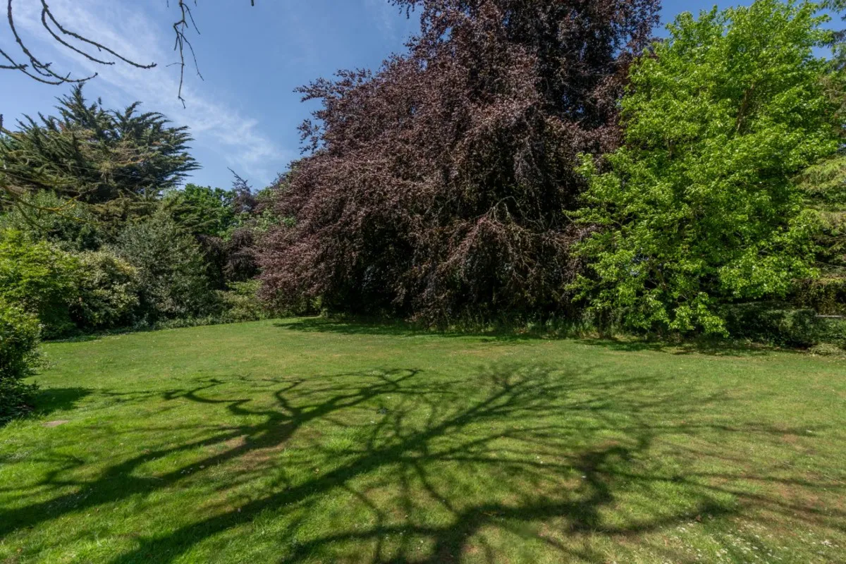 The Street, Rushmere, photo 33