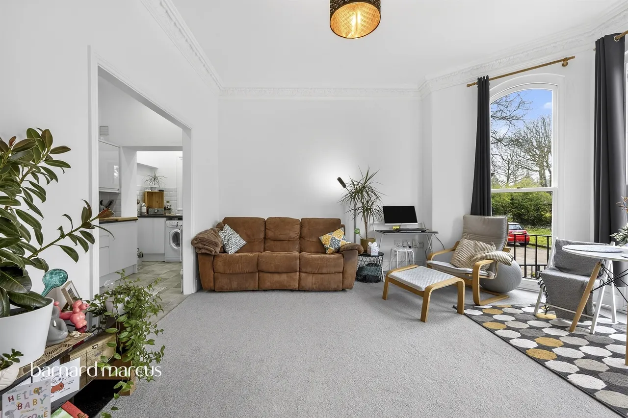 Selborne Road, Croydon, CR0, photo 11