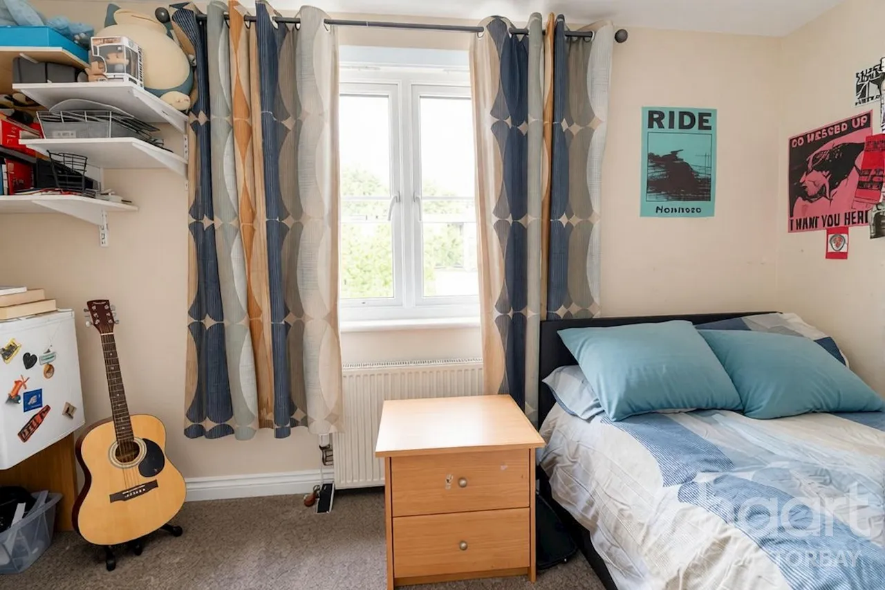 Ebdon Way, Torquay, TQ1, photo 10