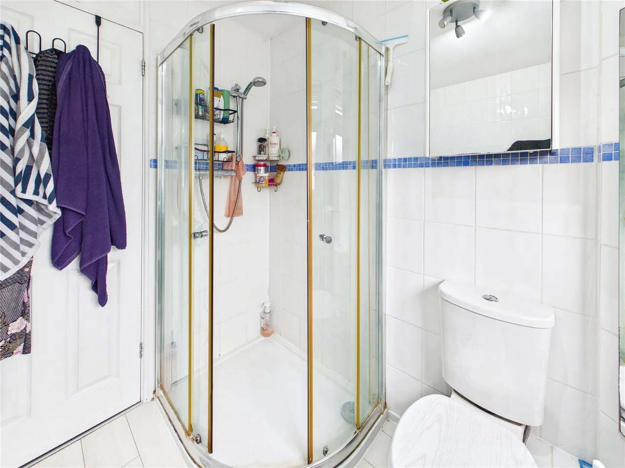 Siward Road, Witham, CM8, photo 11