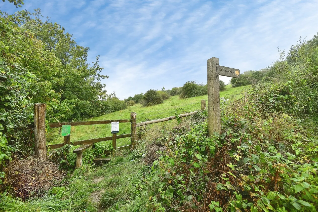 Dartmouth Close, Brighton, BN2, photo 19