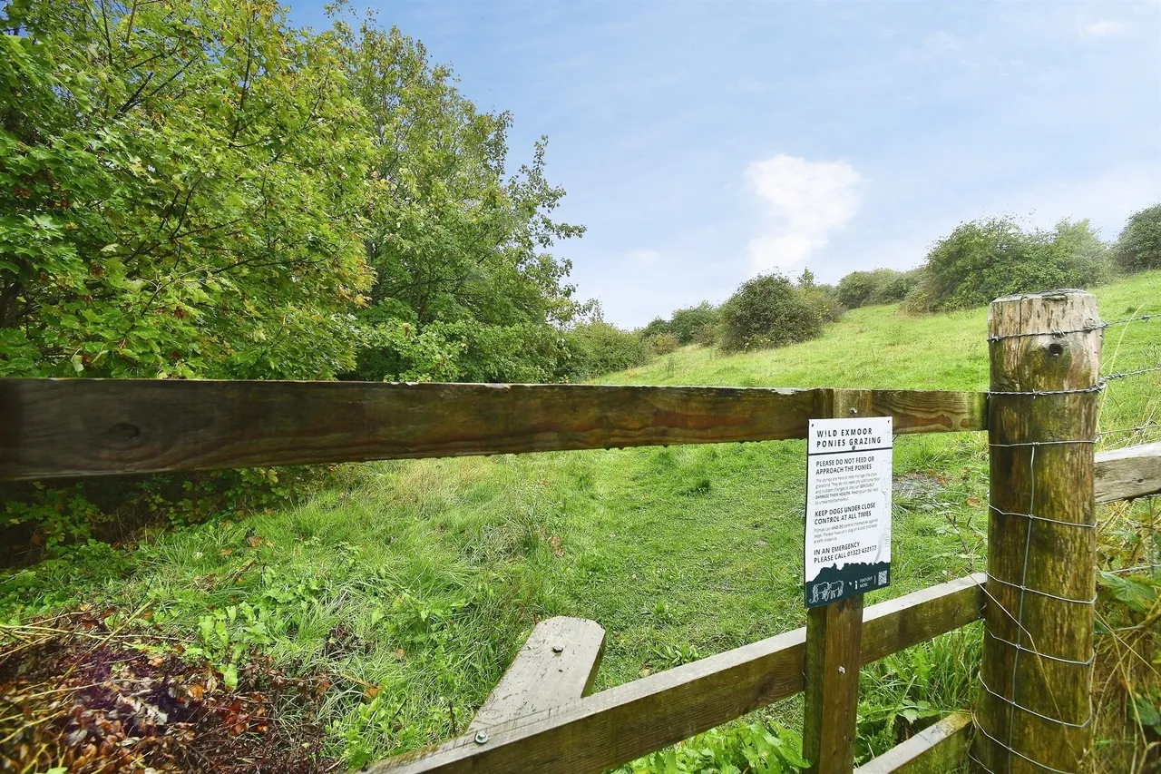 Dartmouth Close, Brighton, BN2, photo 20