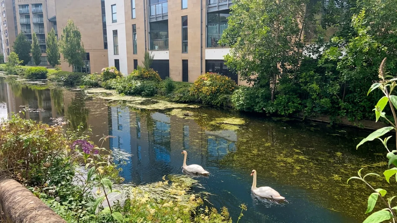 Court View House, a fabulous canal side apartment, LA1, photo 8