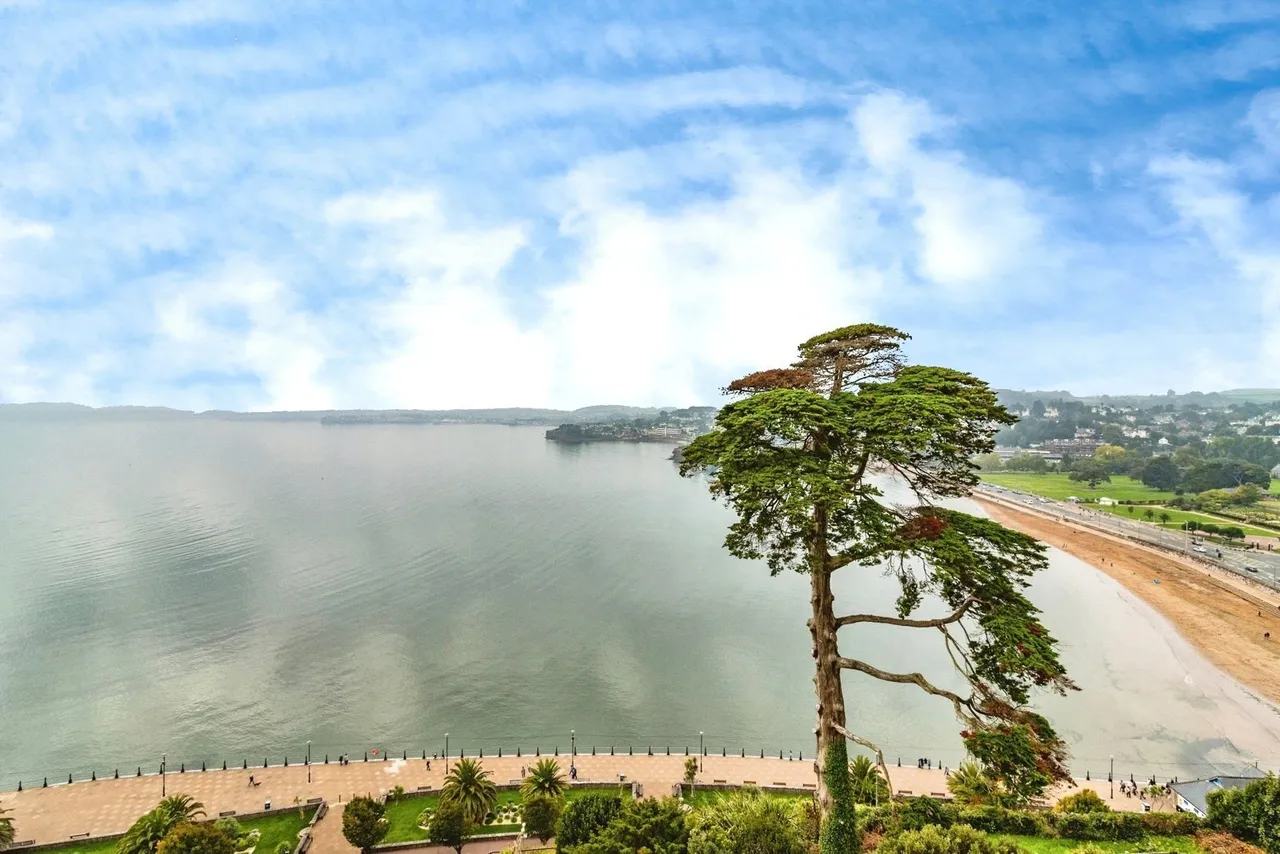 Bay Fort Mansions, Torquay, TQ2, photo 16