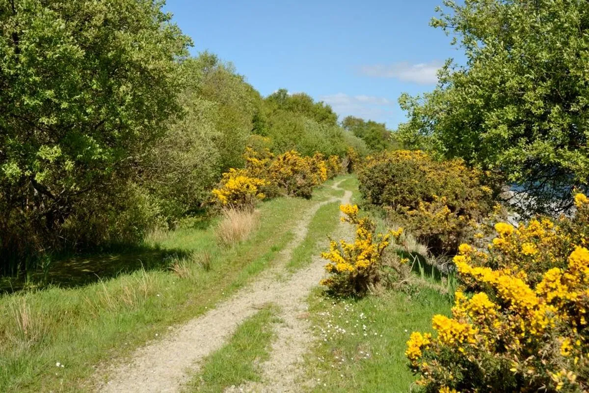 Inchmarnock Island, Isle of Bute, PA20, photo 8