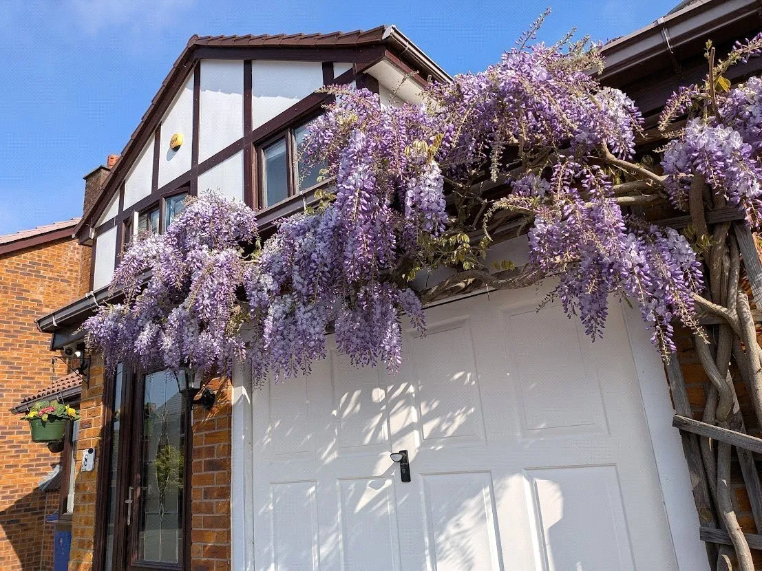 Hardwick Close, Bradley Fold, M26, photo 24