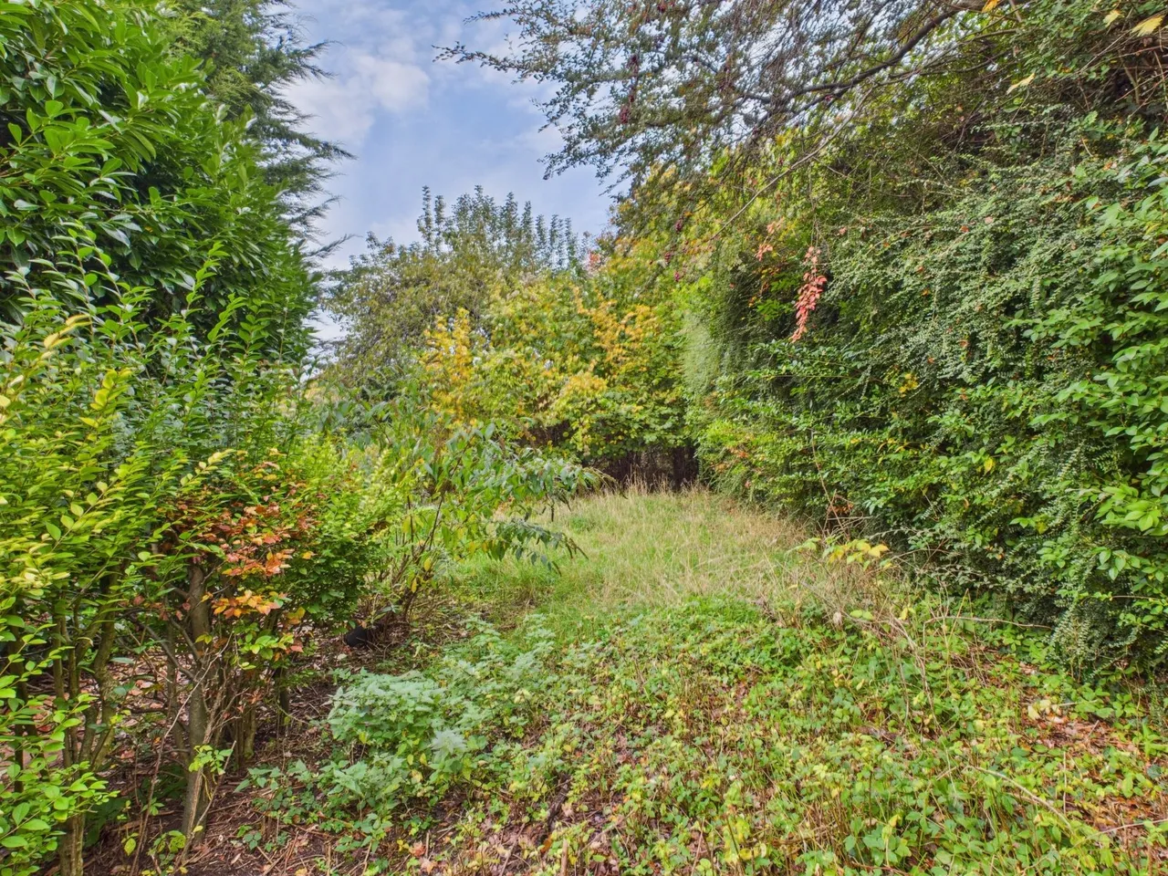 Lane End, Buckinghamshire, photo 10