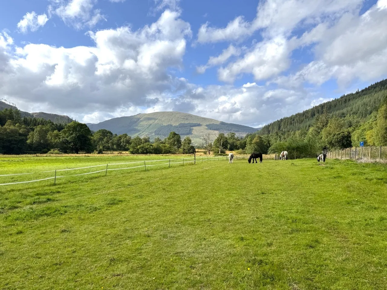 Strathyre, Callander, FK18, photo 35