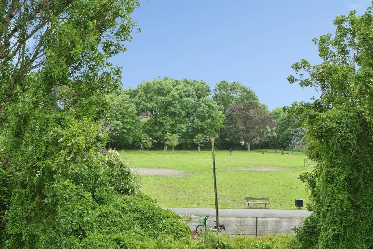 Southend Lane, London, SE6, photo 16