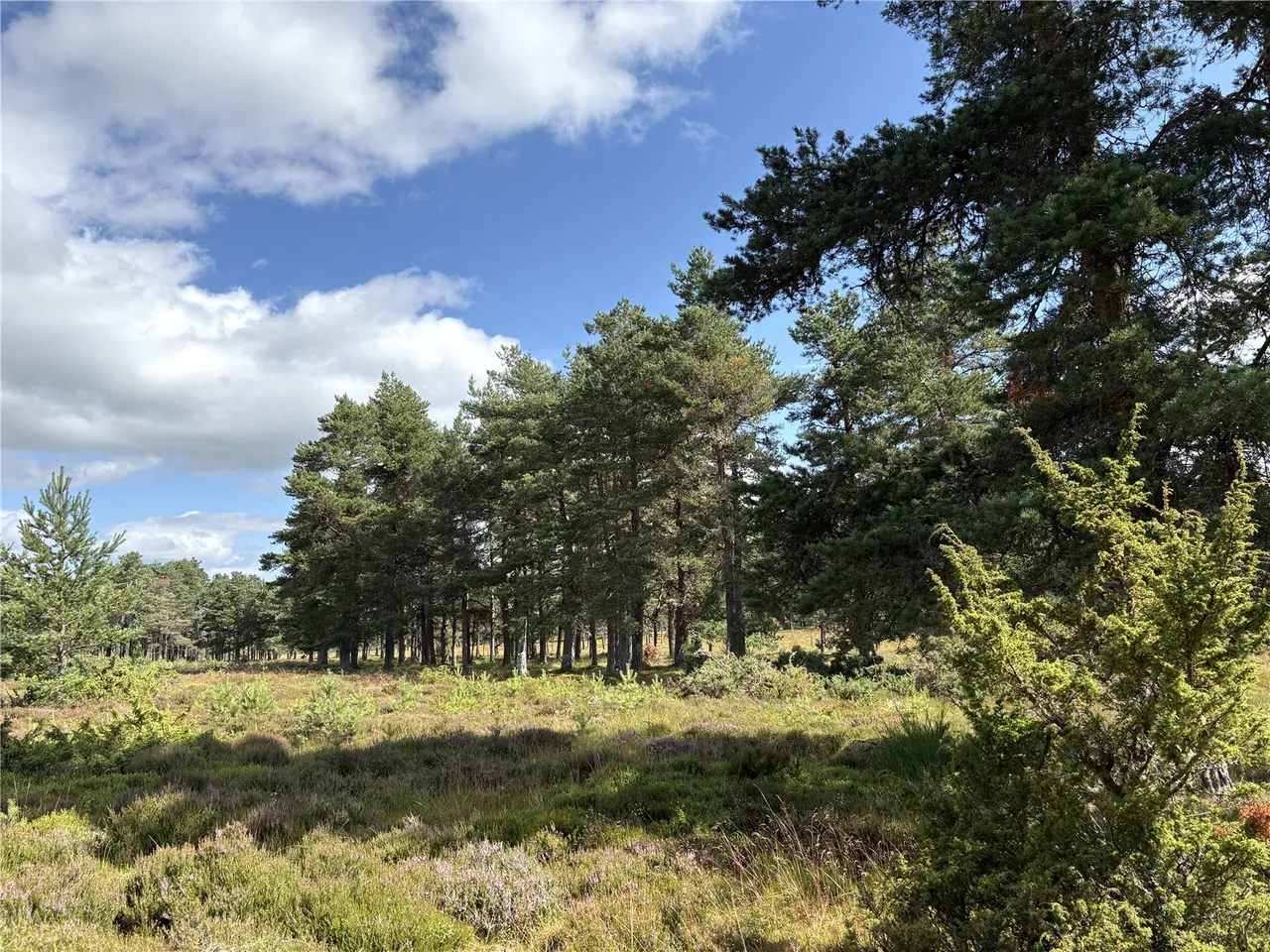 Aiteann Croft, Easter Street, Caiplich, Near Beauly, IV5 7PT, photo 11