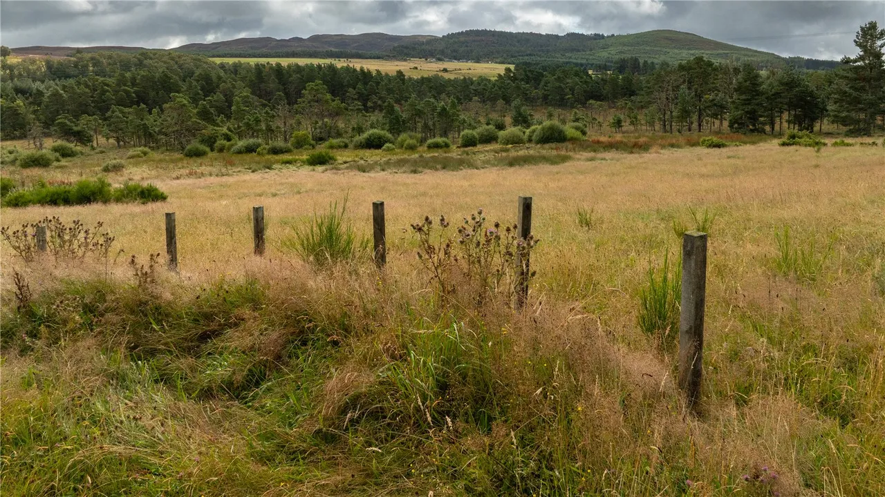 Aiteann Croft, Easter Street, Caiplich, Near Beauly, IV5 7PT, photo 6