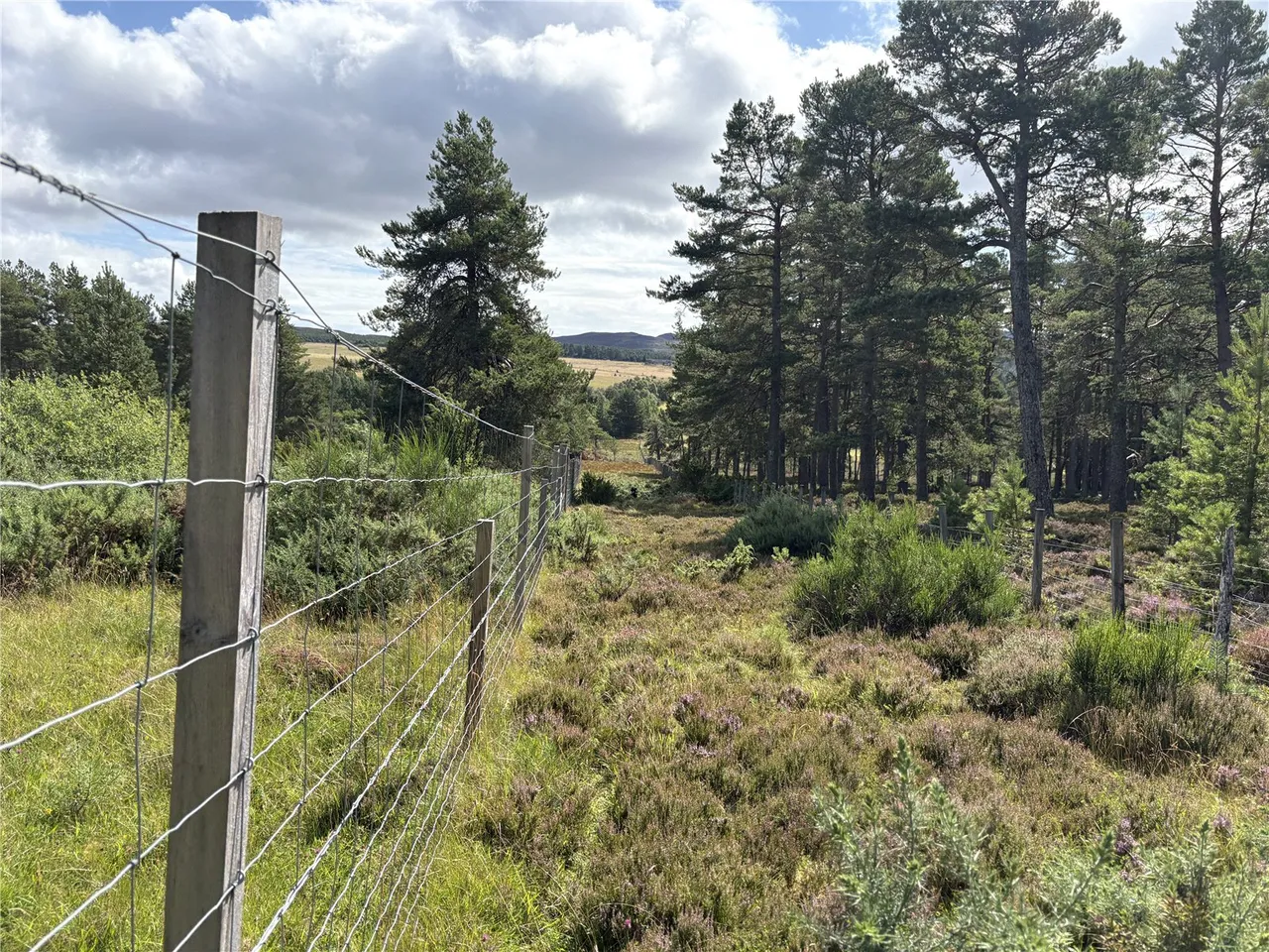 Aiteann Croft, Easter Street, Caiplich, Near Beauly, IV5 7PT, photo 9