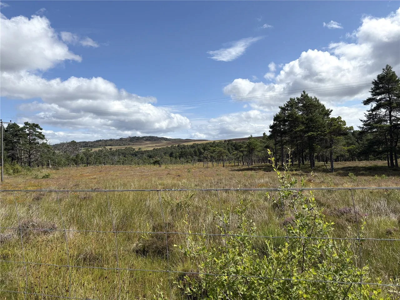 Aiteann Croft, Easter Street, Caiplich, Near Beauly, IV5 7PT, photo 8