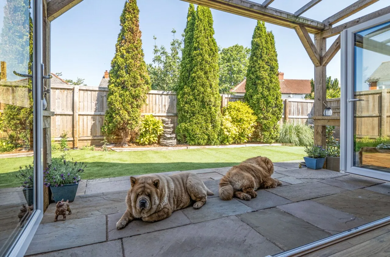 Greenway Crescent, Taunton, TA2, photo 44