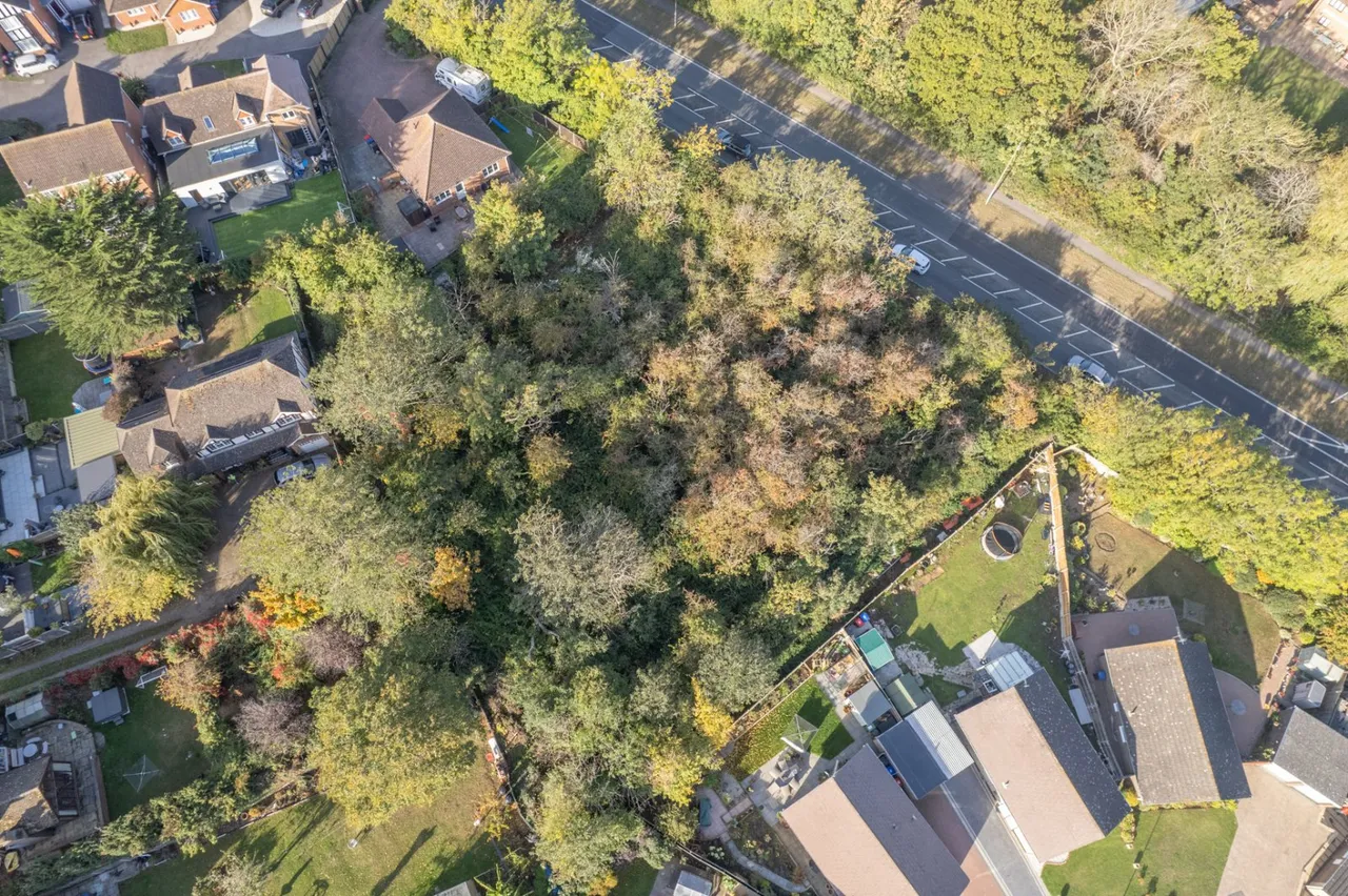 Hillside Road, Whitstable, CT5, photo 6