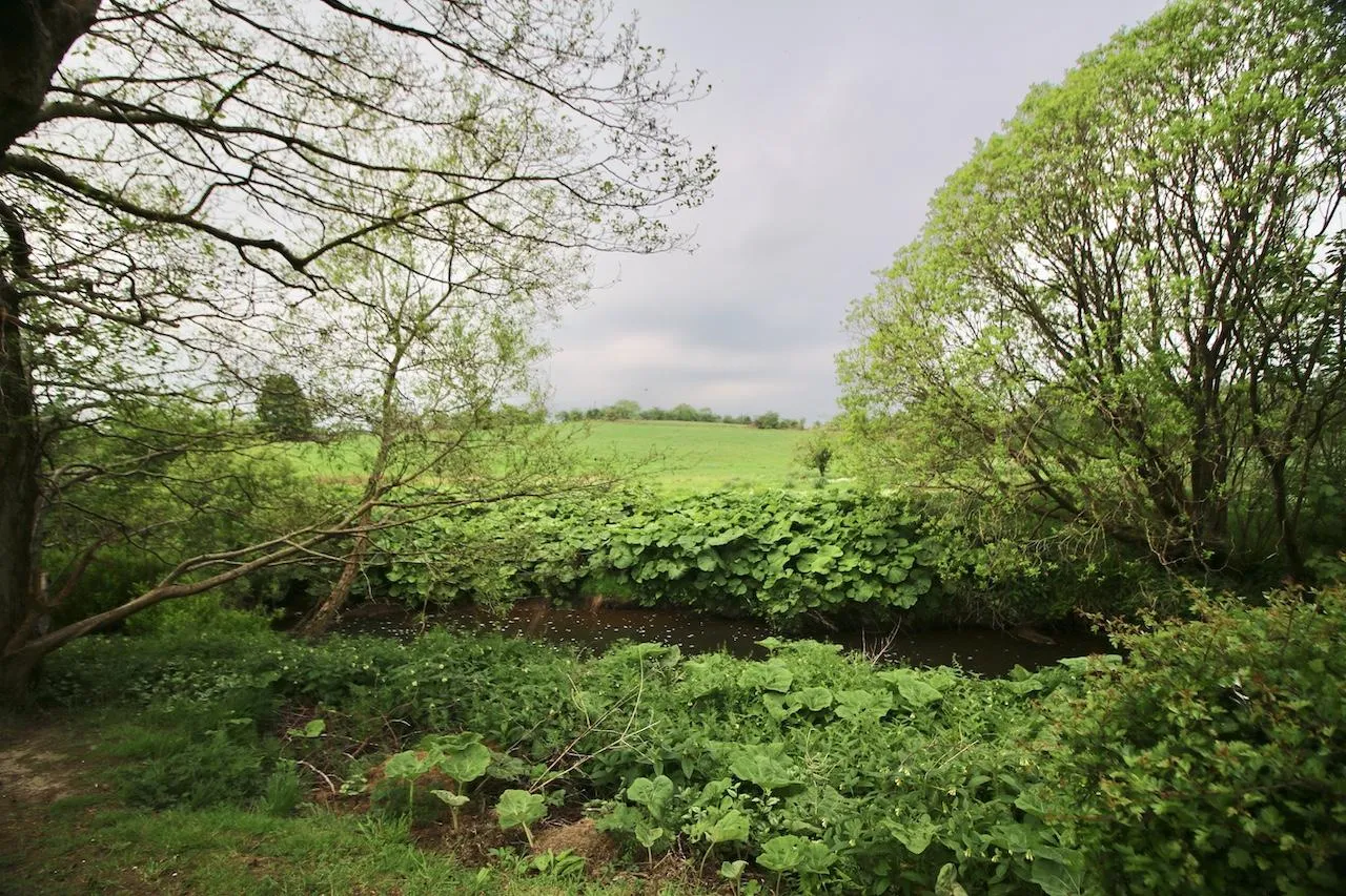Barbeth Road, Condorrat, G67 4SH, photo 16