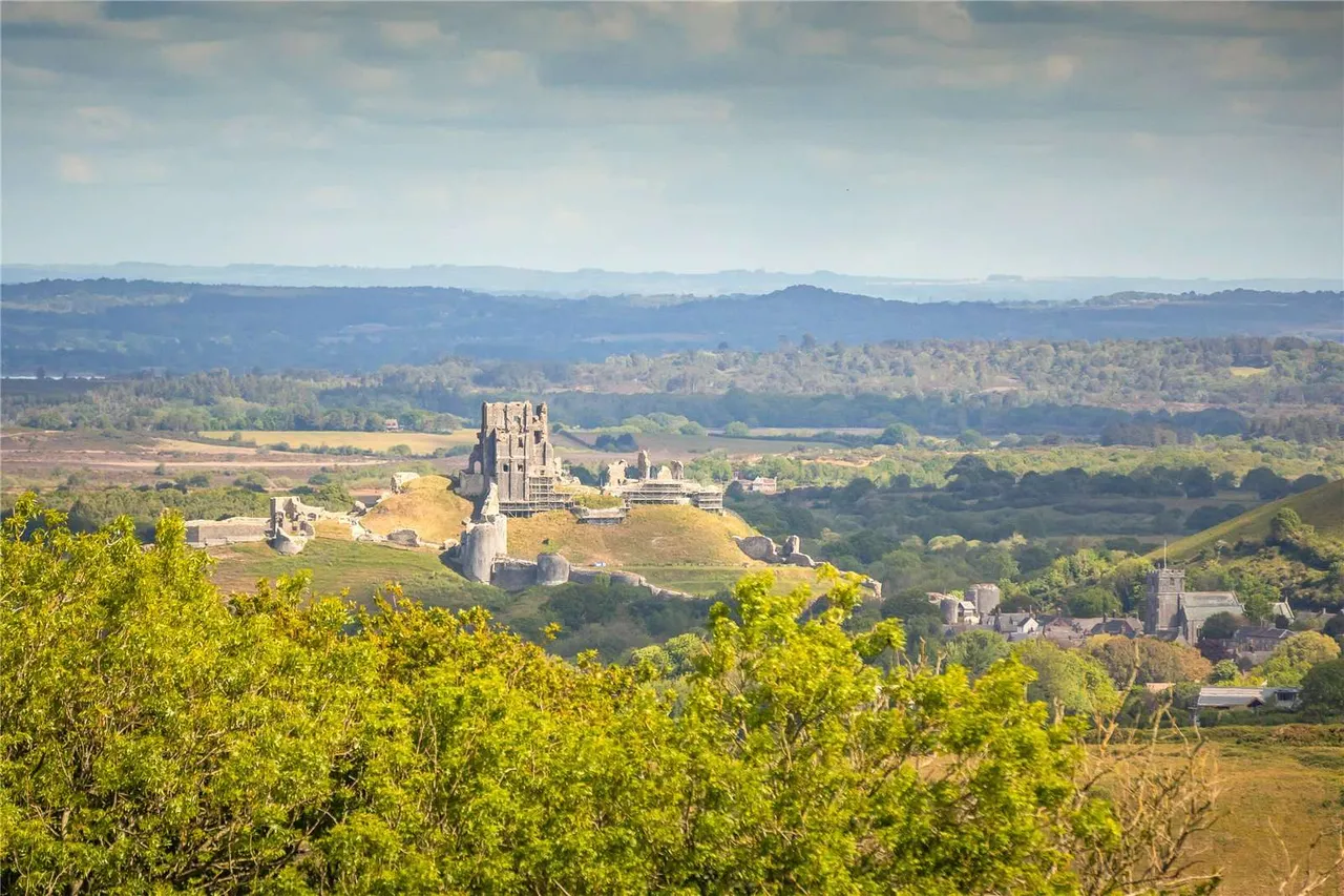 The Lane, Kingston, Corfe Castle, Wareham, BH20 5LJ, photo 7