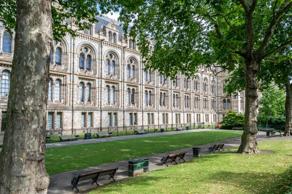 Sloane Avenue, Chelsea, SW3, photo 16