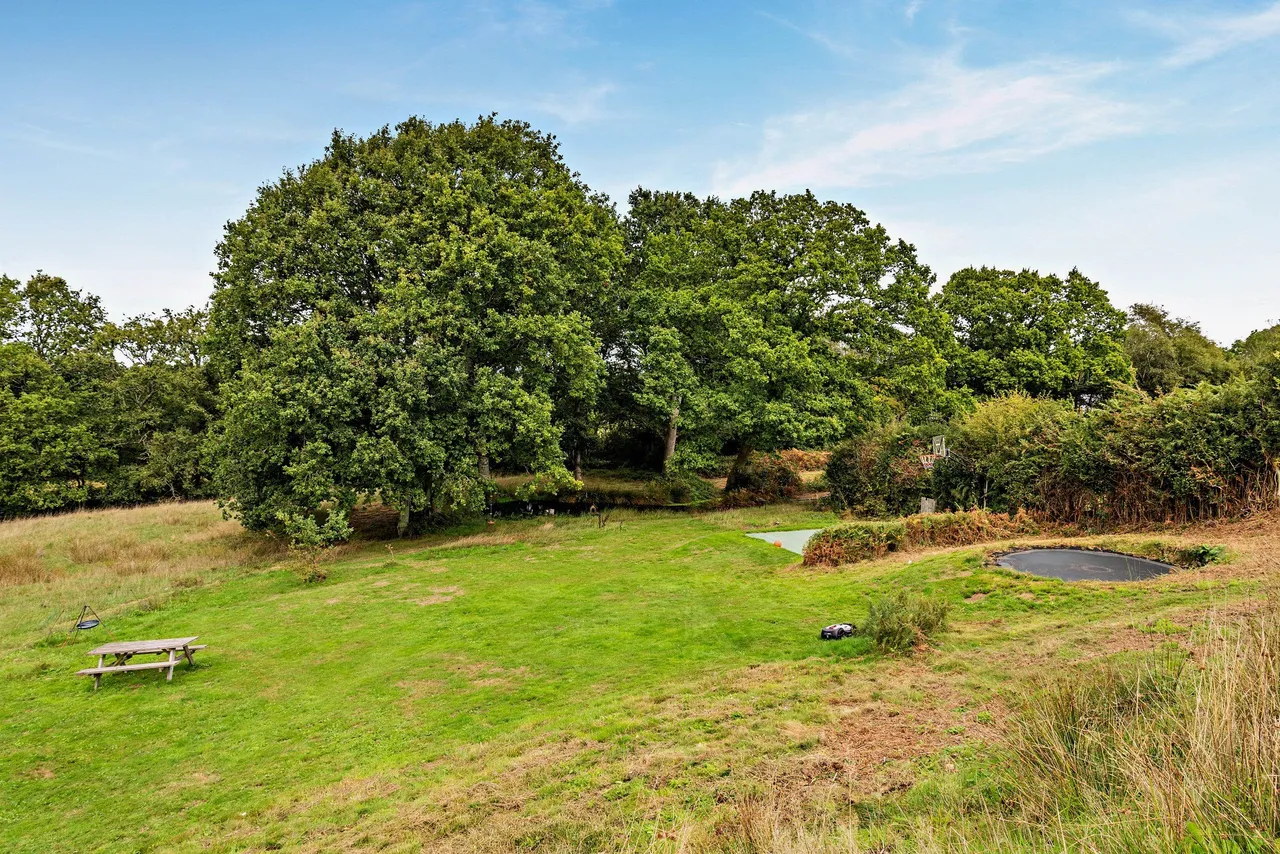 Cross in Hand, Heathfield, TN21, photo 19