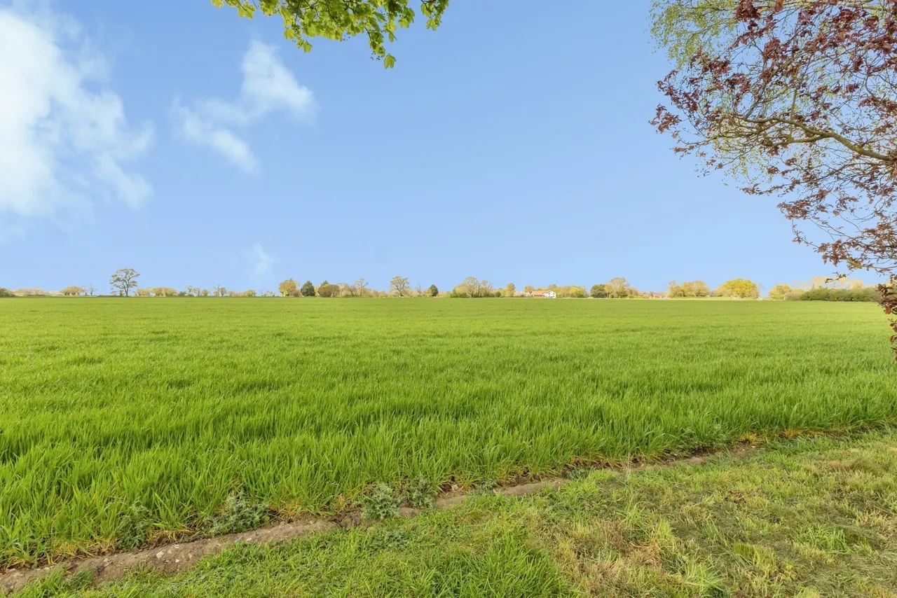 Chequers Green, Great Ellingham, Attleborough, Norfolk, NR17, photo 19