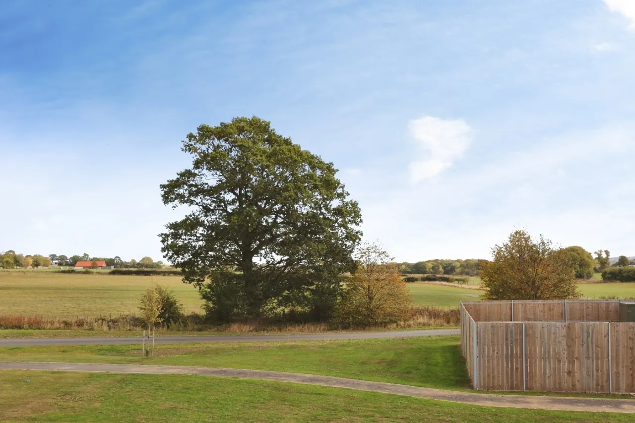 Charles Court, Willington, DL15, photo 19