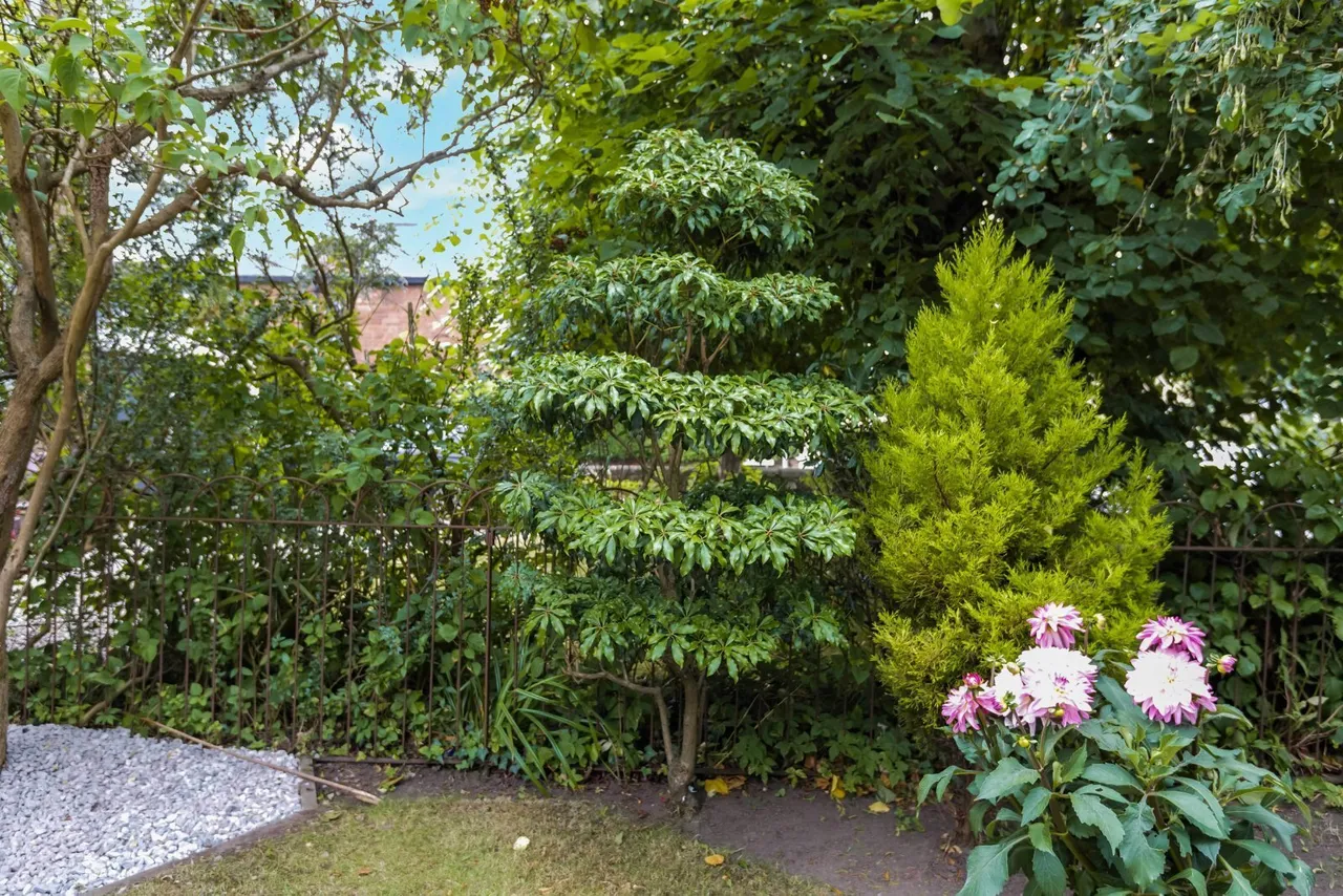 Hawkhead Road, Paisley, Renfrewshire, PA1, photo 17