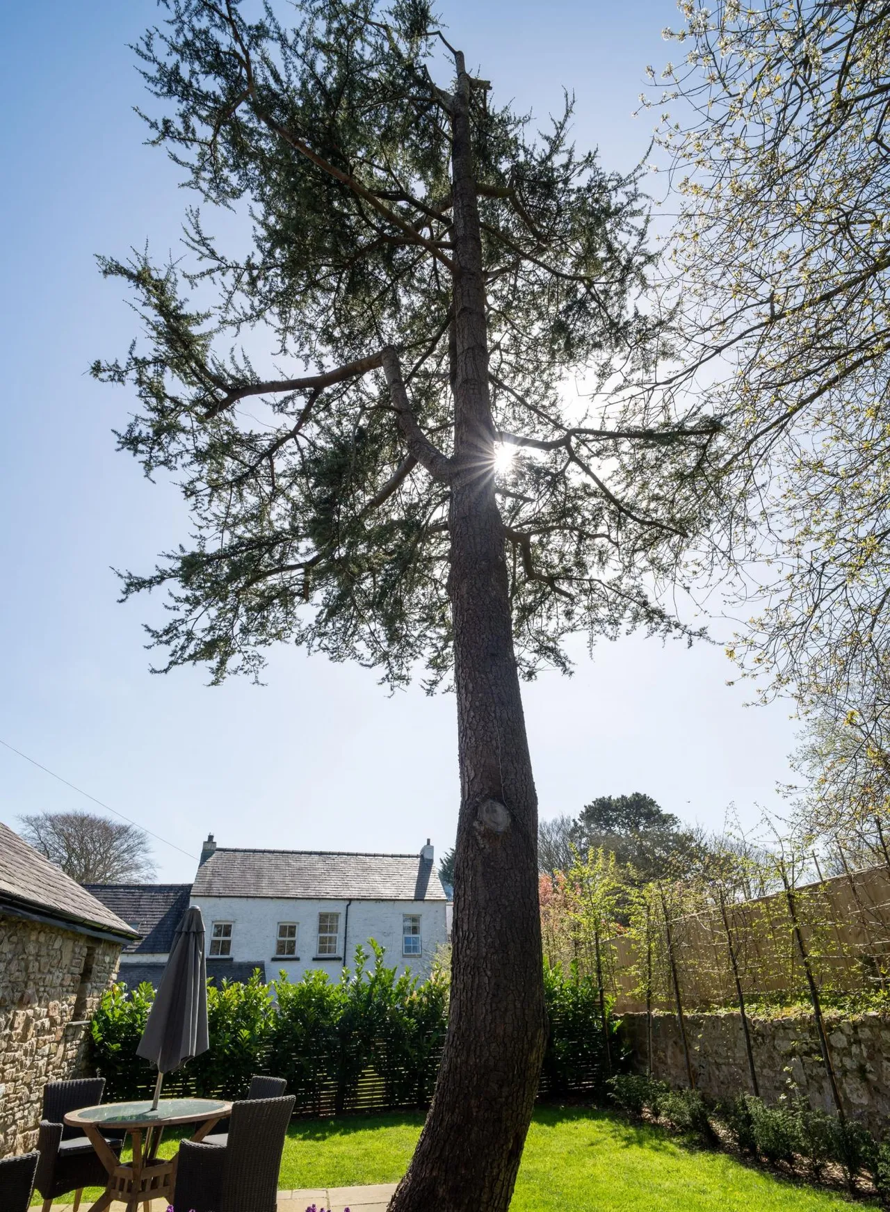 Johnston, Haverfordwest, SA62, photo 59