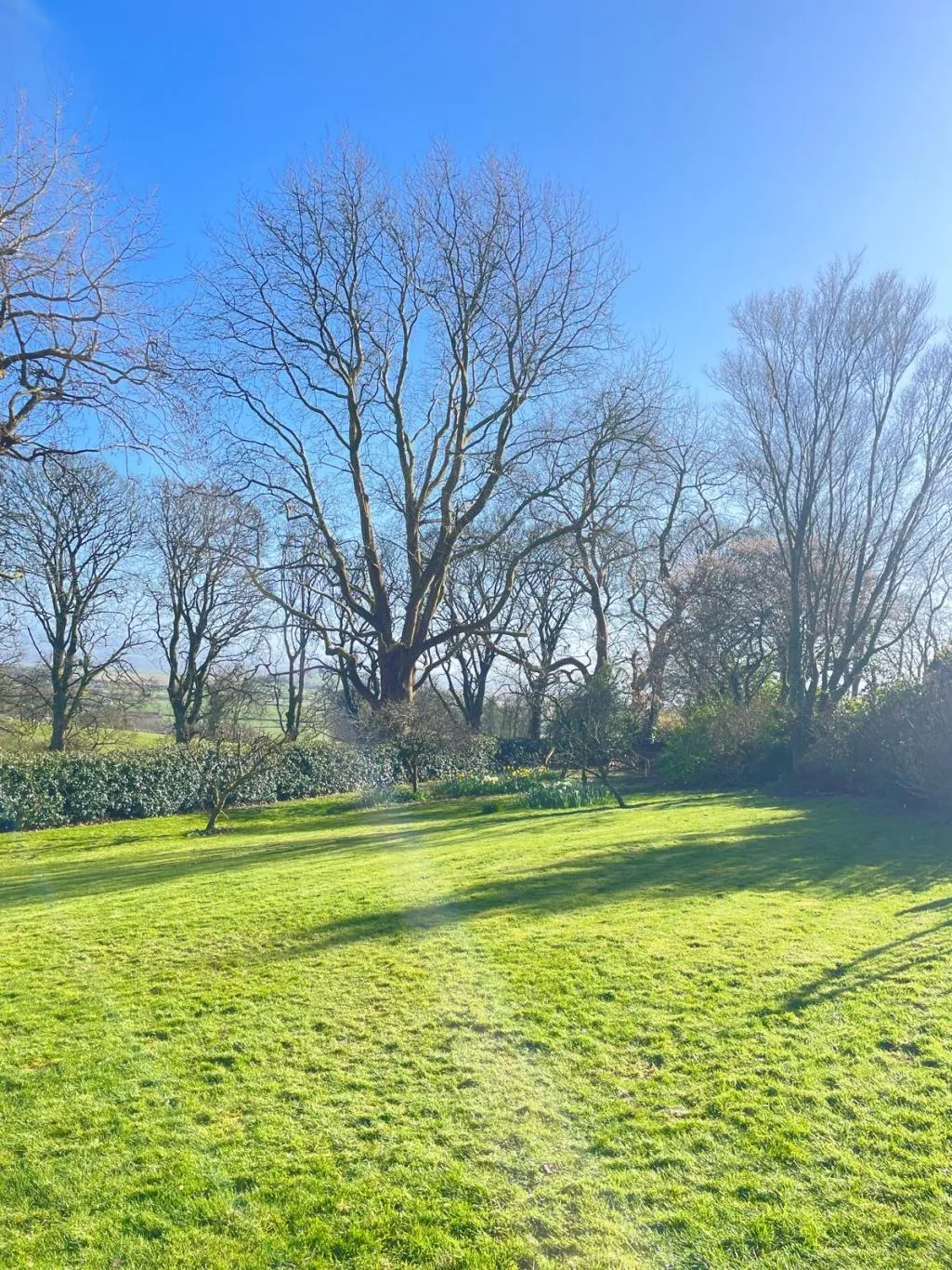 Grange-over-sands, LA11, photo 29