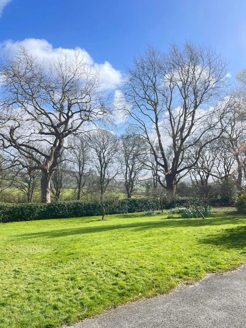 Grange-over-sands, LA11, photo 18