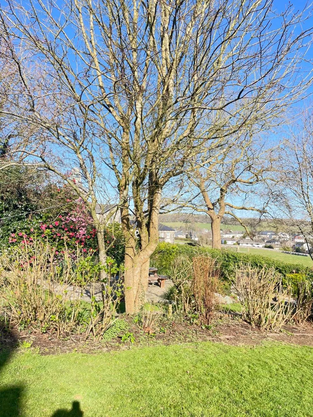 Grange-over-sands, LA11, photo 28