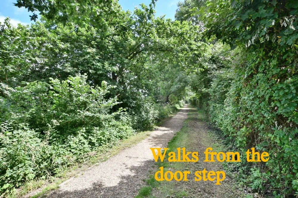 Moore Close, Wimborne, BH21, photo 16