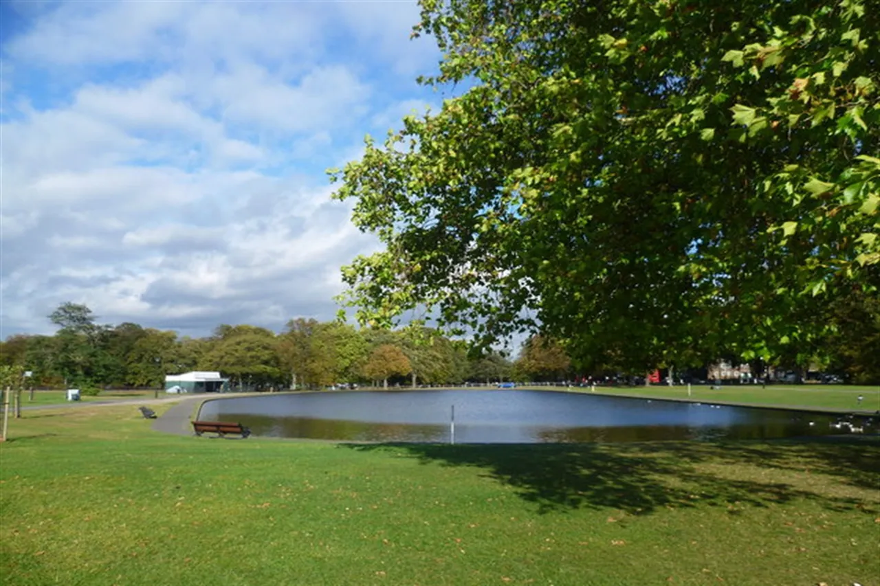 Clapham, London, SW4, photo 11