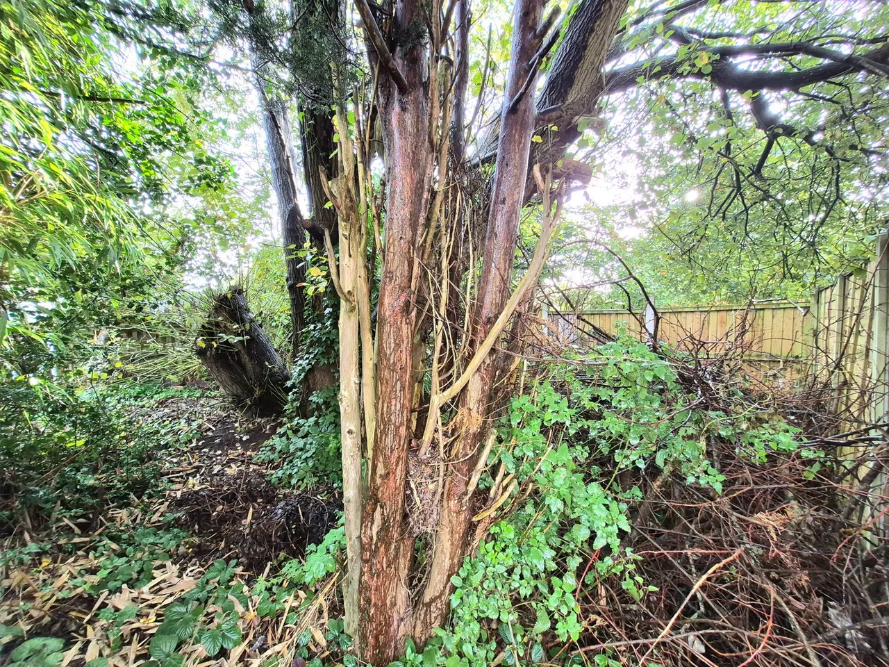 Gawsworth Road, Macclesfield, SK11, photo 11