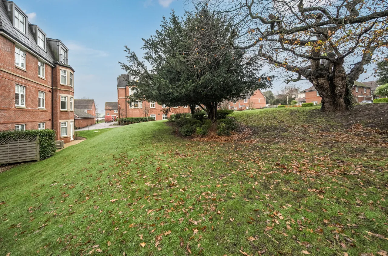 Kinglake Drive, Taunton, TA1, photo 16