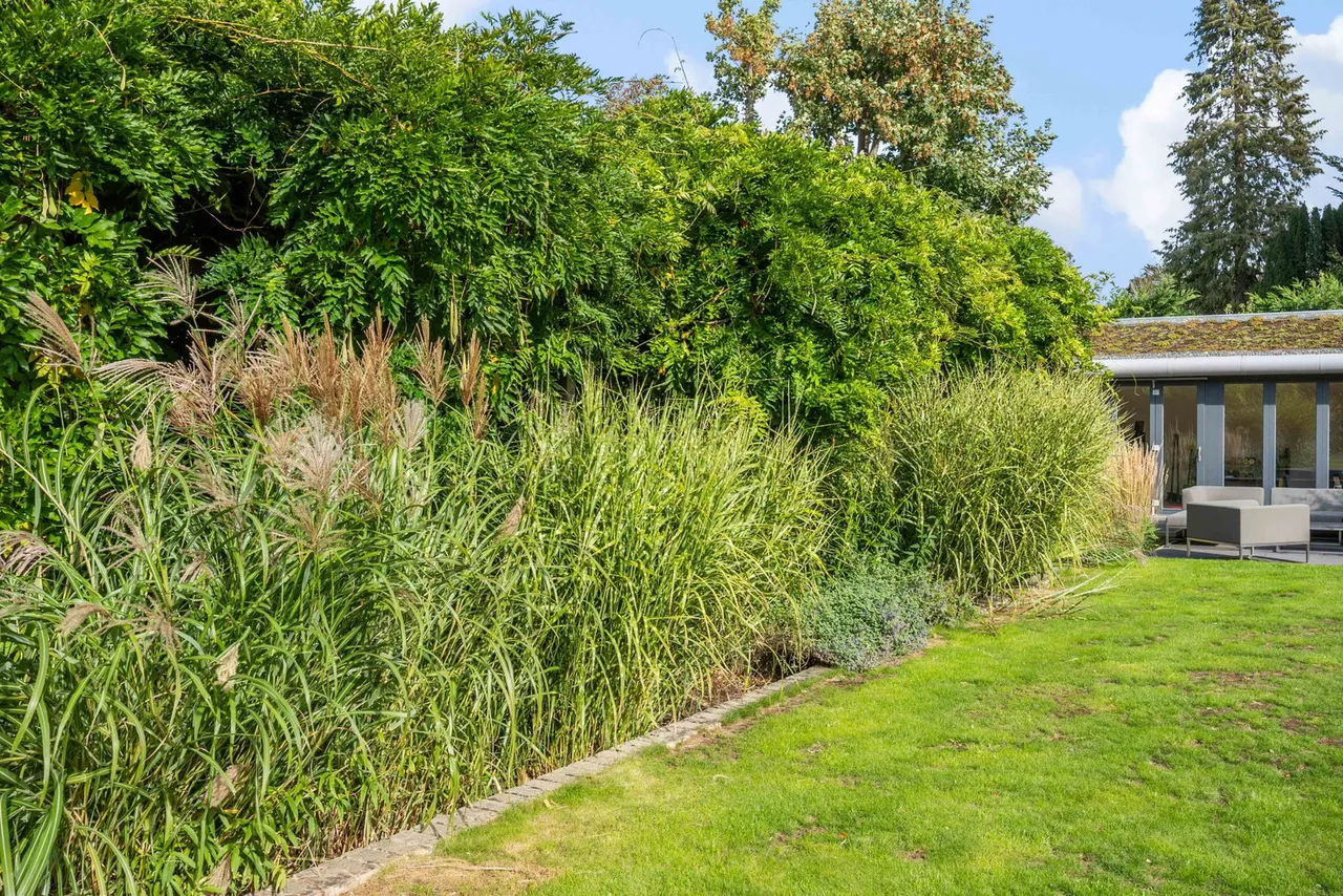 Roundwood Avenue, Hutton Mount, CM13, photo 85