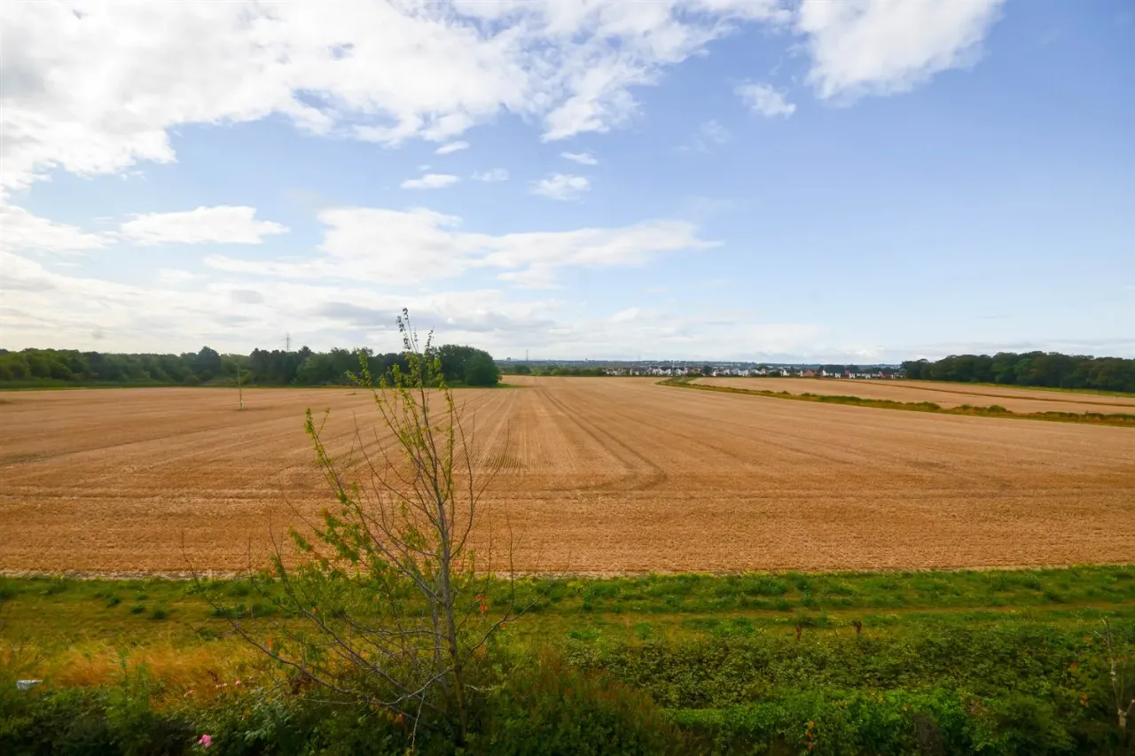 Ridge Court, Hazlerigg, NE13, photo 3
