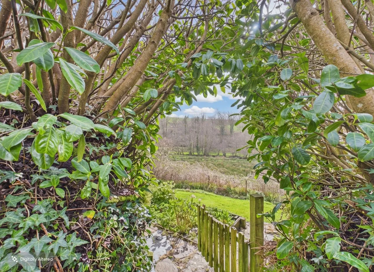 Heasley Mill, South Molton, EX36, photo 11