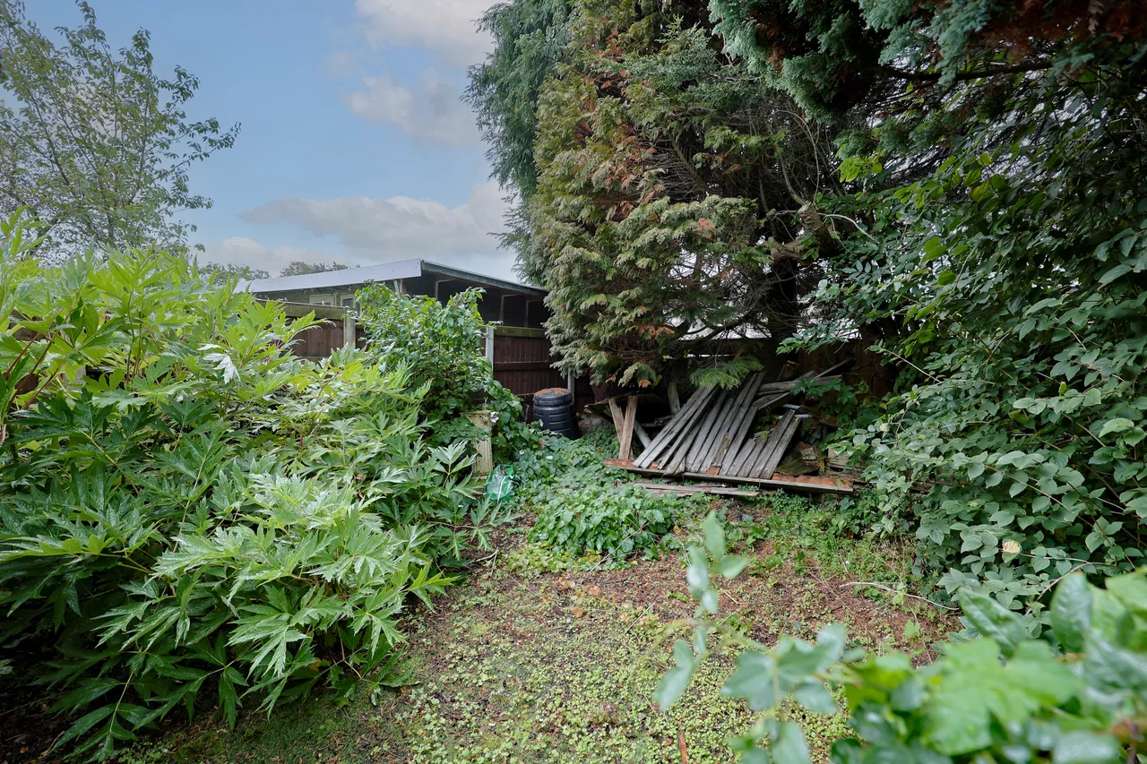 Mossfields, Wrightington, photo 17