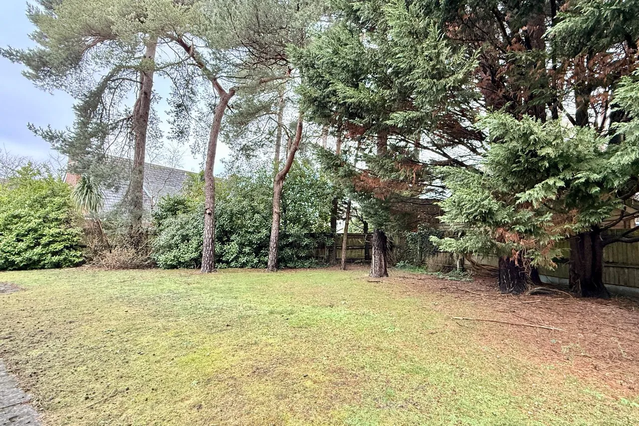 Davids Lane, Ringwood, BH24, photo 15