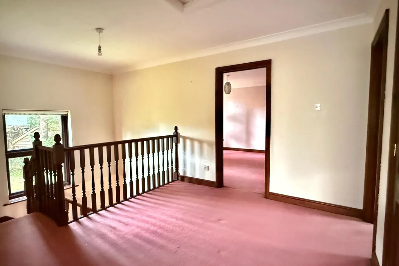 Davids Lane, Ringwood, BH24, photo 8