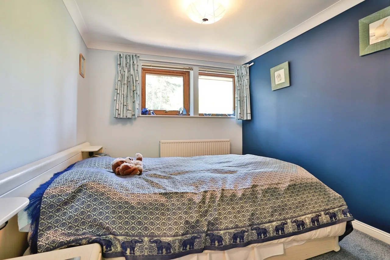 Davids Lane, Ringwood, BH24, photo 11