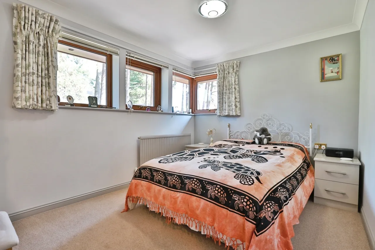 Davids Lane, Ringwood, BH24, photo 10